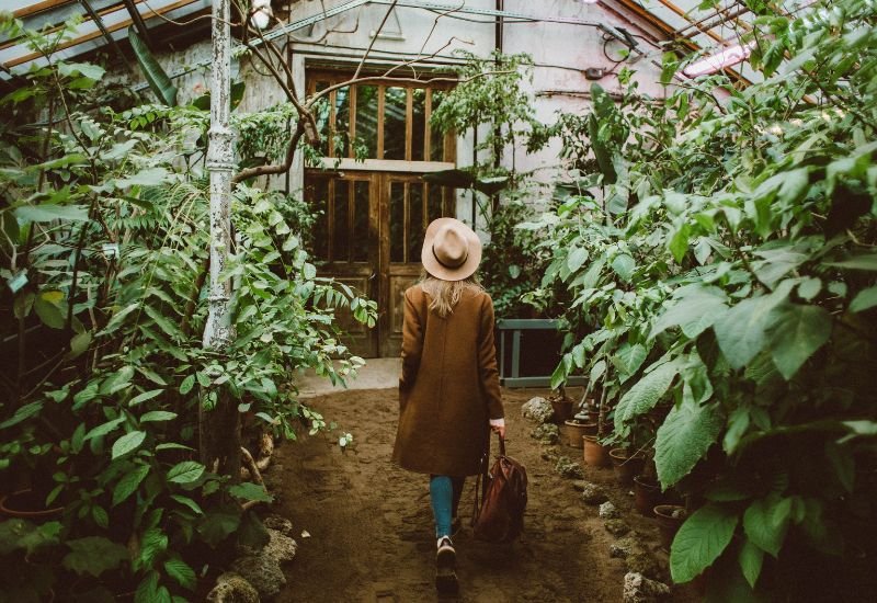 småhage inspirasjon