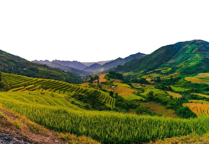 vedlikehold av terrasse